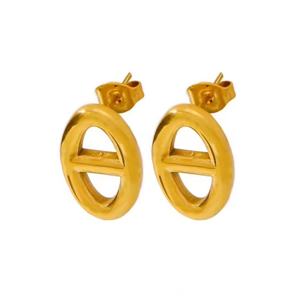 IMG-20250922-WA1141 Aretes dior