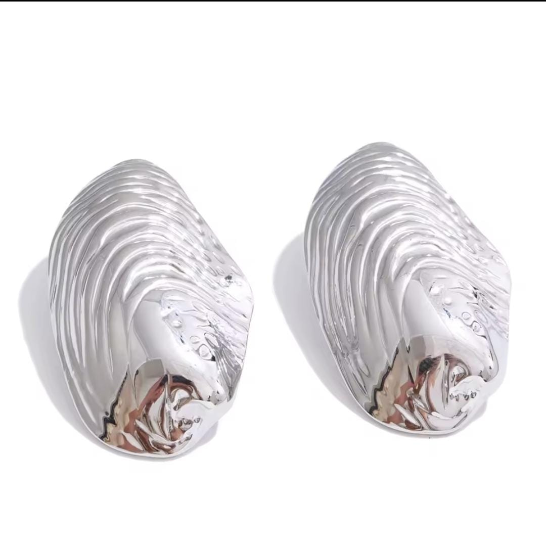 WhatsApp Image 2025-09-14 at 8.44.32 AM (7) ARETES PLATA GRANDE