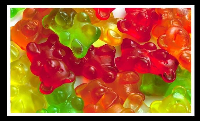 collagepann Panditas