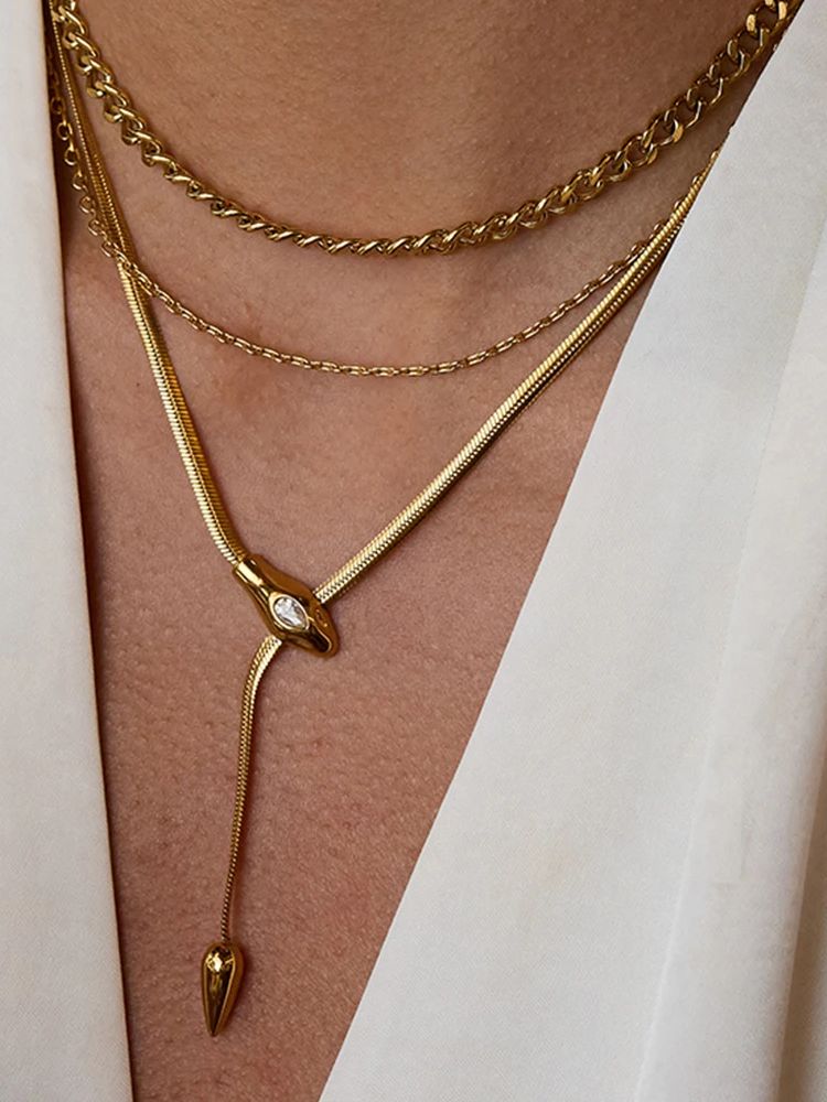 -10883483092106426173 (1) Collar acero inoxidable serpiente brillante