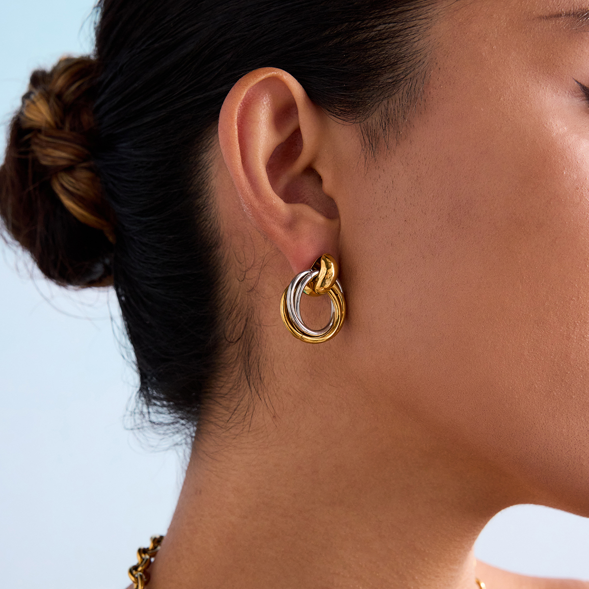 -10897394821343148261 Aretes bicolor acero