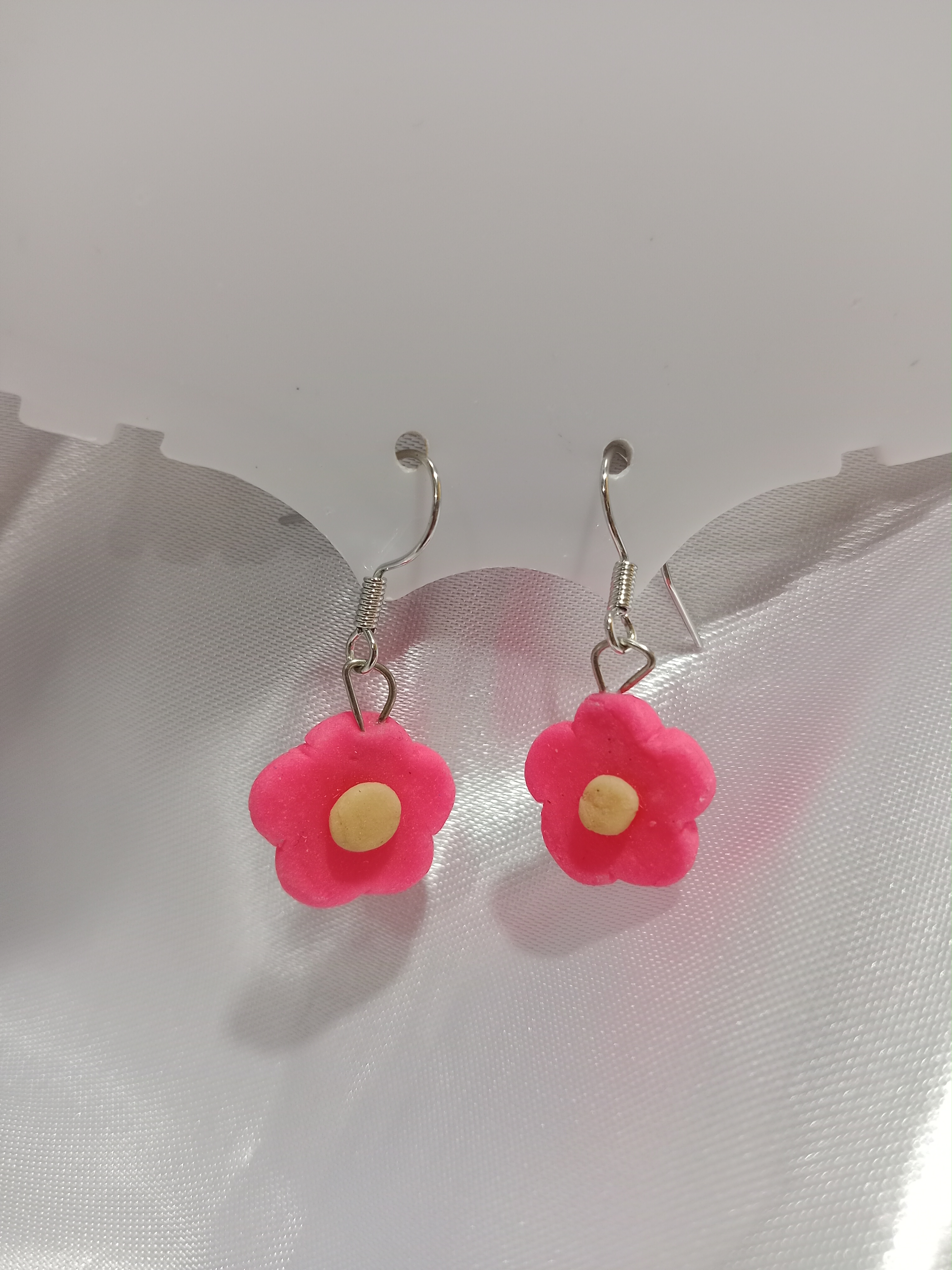 IMG_20251114_120223 Aretes Rosa
