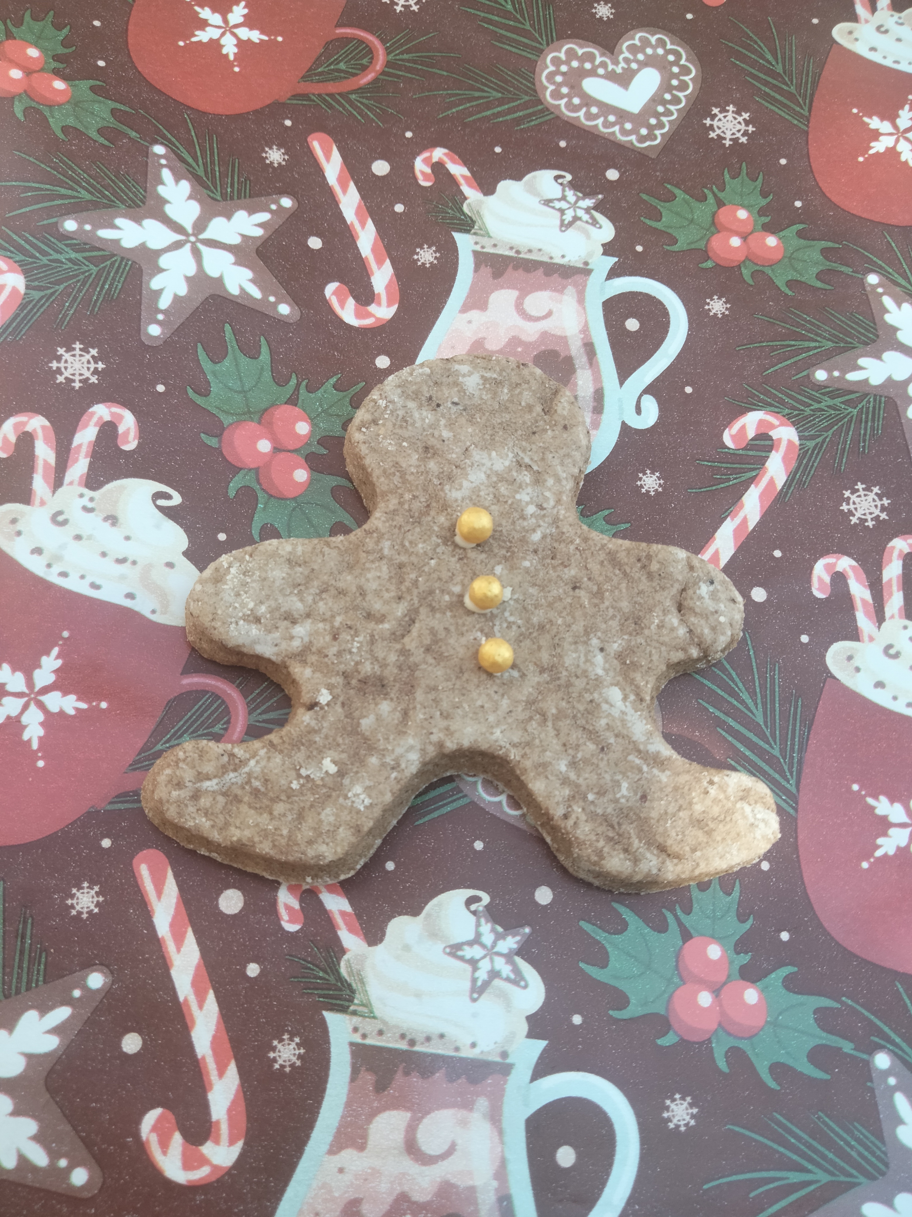 IMG_20251202_172216 Jengibre