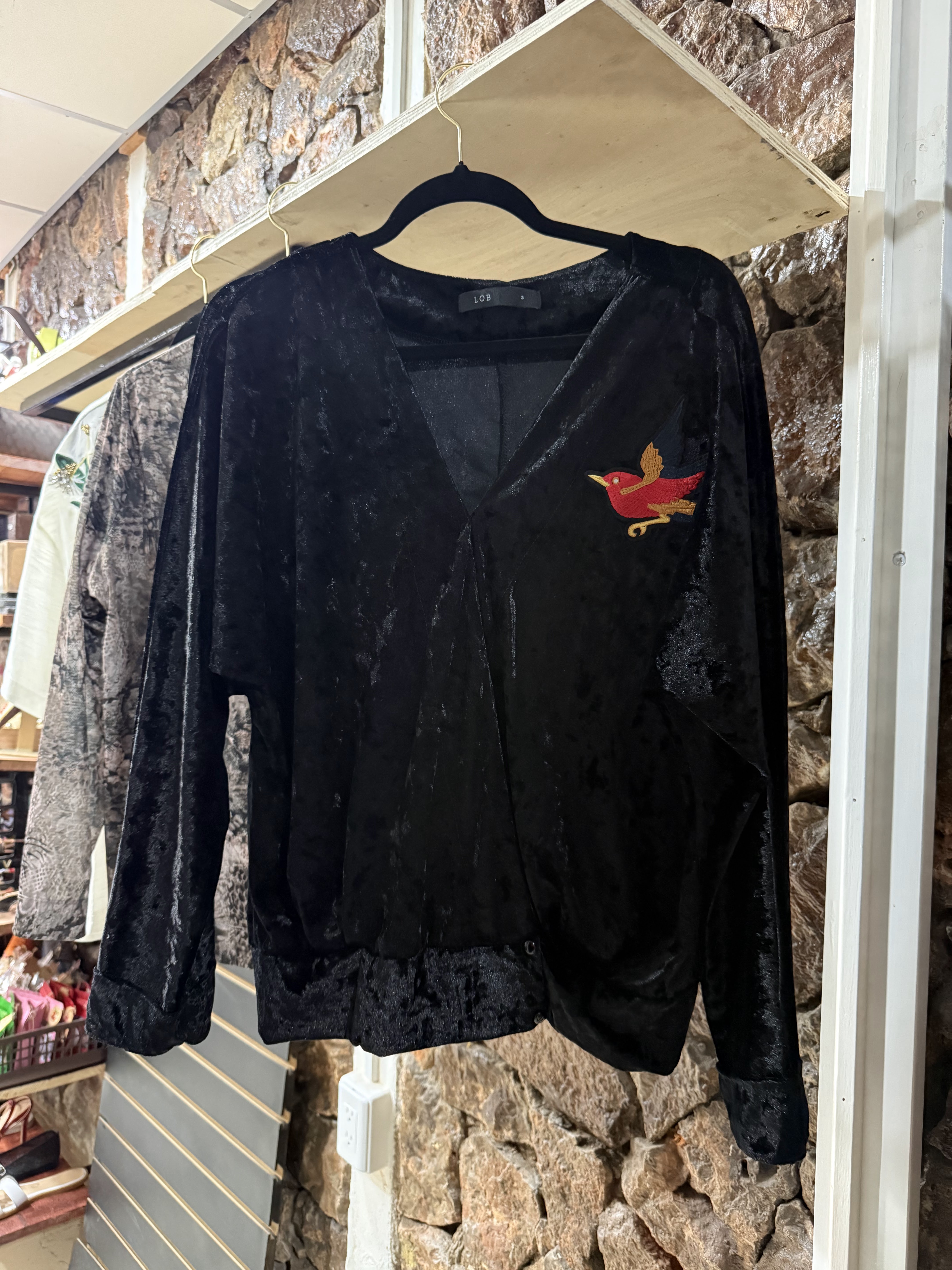 IMG_9453 BLUSA NEGRA TERCIOPELO DIBUJO PAJARO ROJO