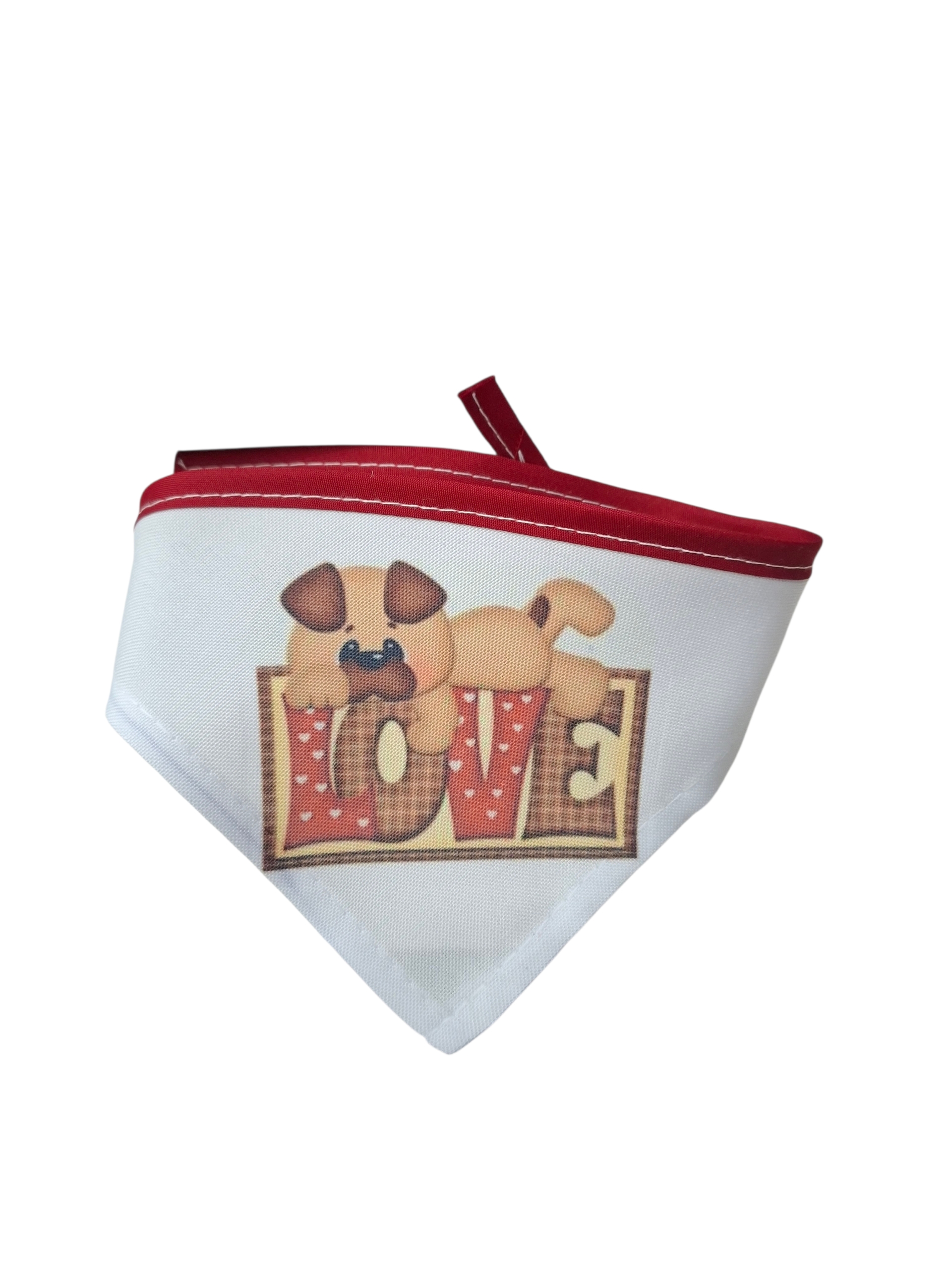 20260121_005958 1 Paliacate San Valentín