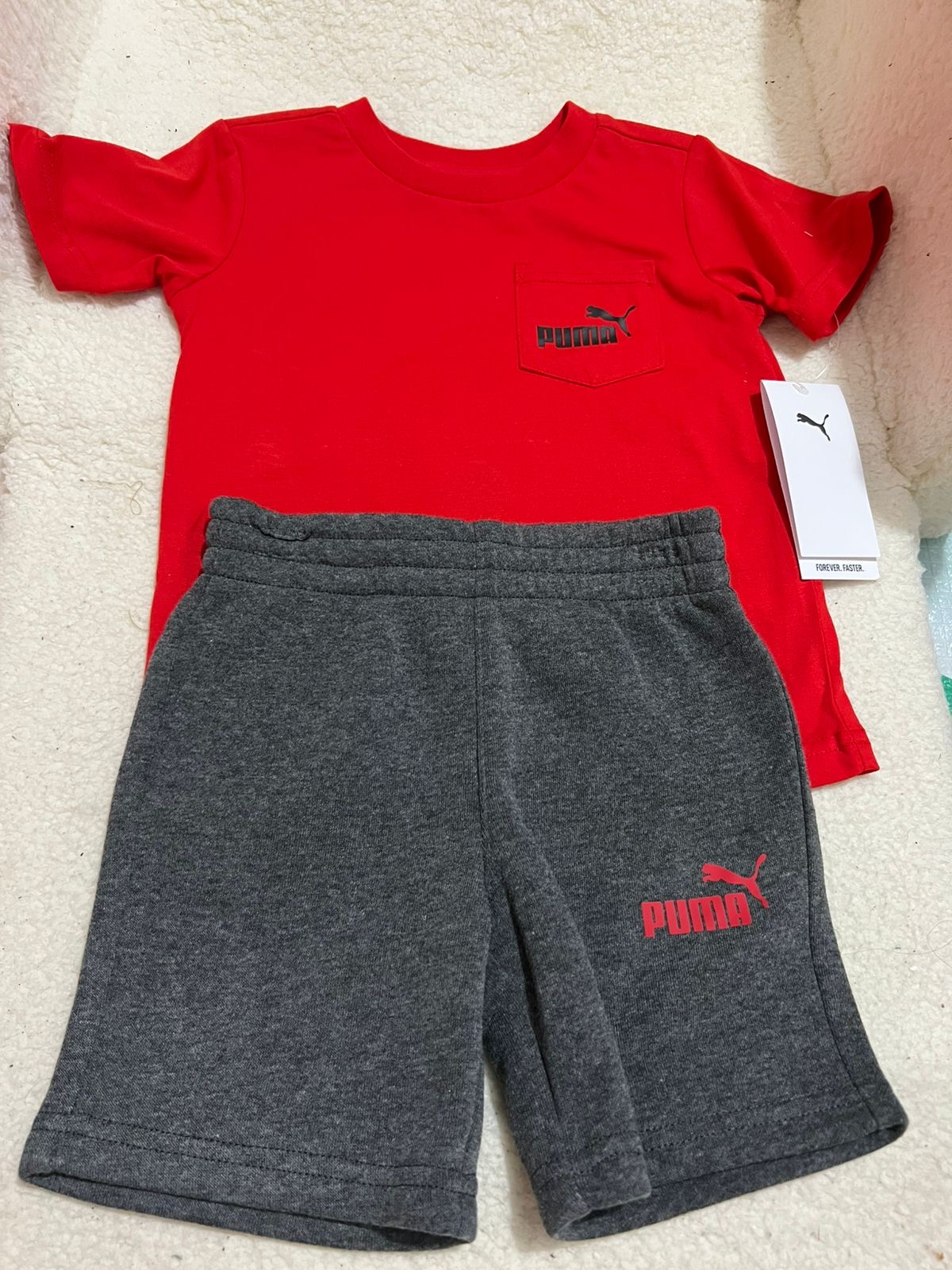 6de32d18-1431-46a2-8fb7-3c9ff5e9fe72 Conjunto puma