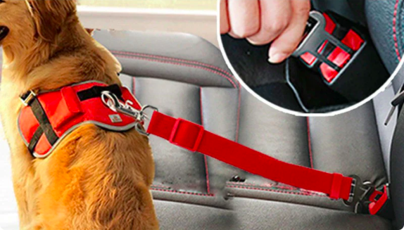 Cinturón de seguridad para mascotas
