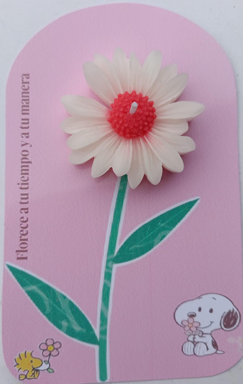 Margaritas con tarjeta