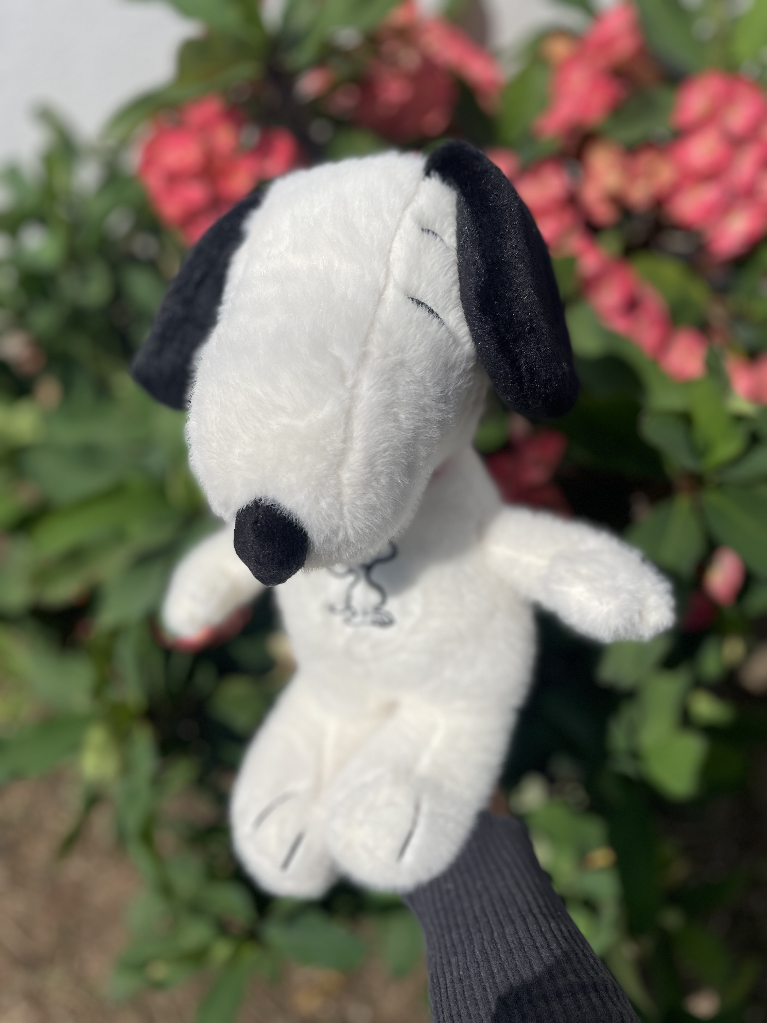 Snoopy que respira canción musical