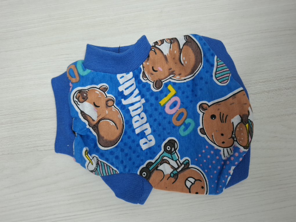 playerita Capibara color azul talla 3