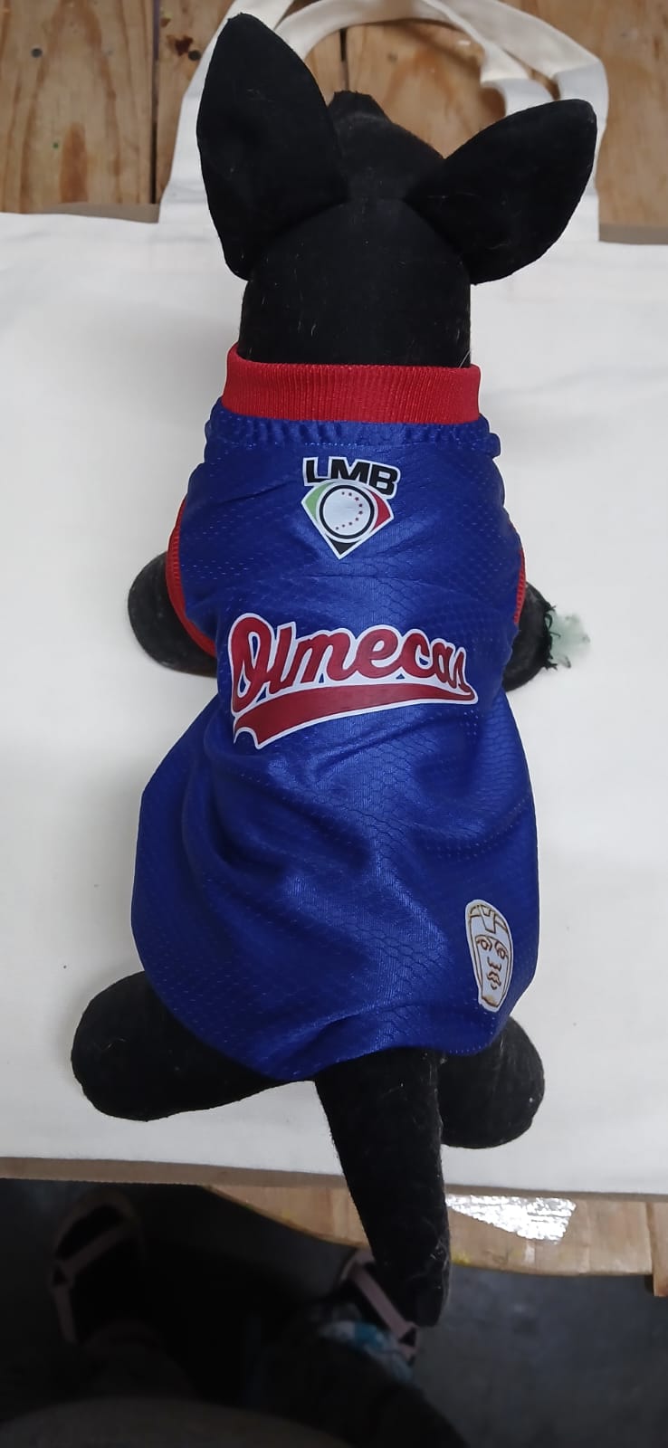 JERSEY BEISBOL OLMECAS T4